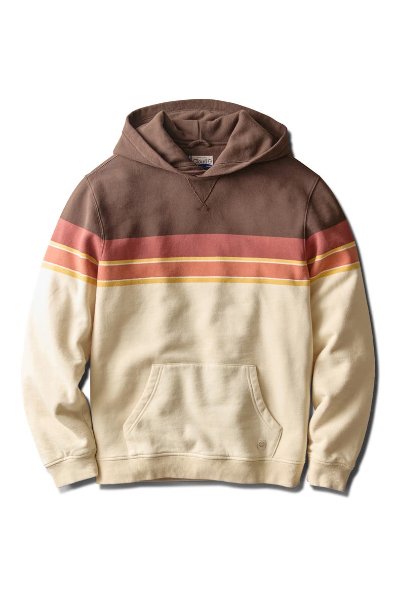 Relaxed Cloud 9 Colorblock Hoodie, Alternate, color, BROWN COLORBLOCK