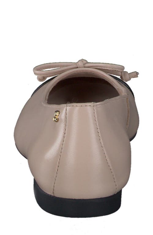 Paul Green Violet Ballet Flat In Neutral