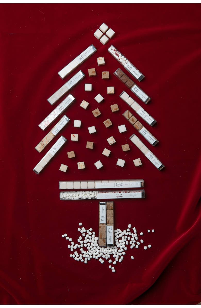 Teaspressa Holiday Hot Cocoa Kit, Alternate, color,