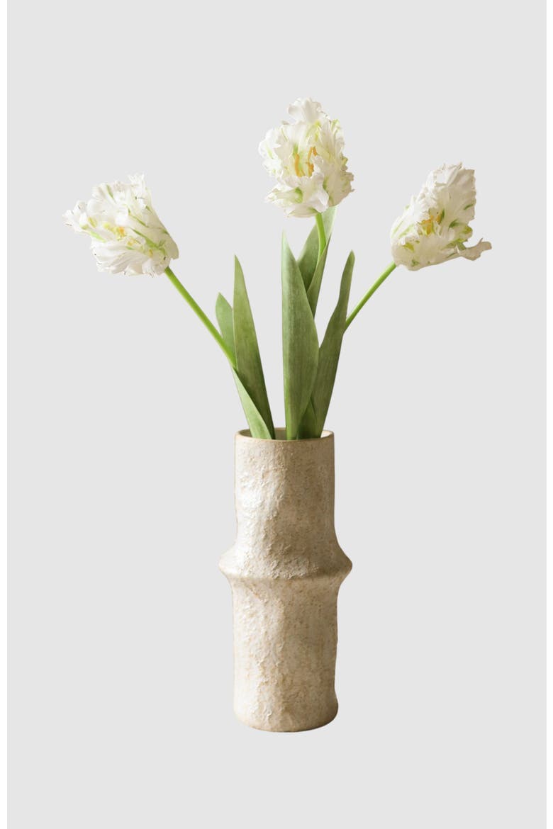 White Parrot Tulip Flower, Alternate, color, White