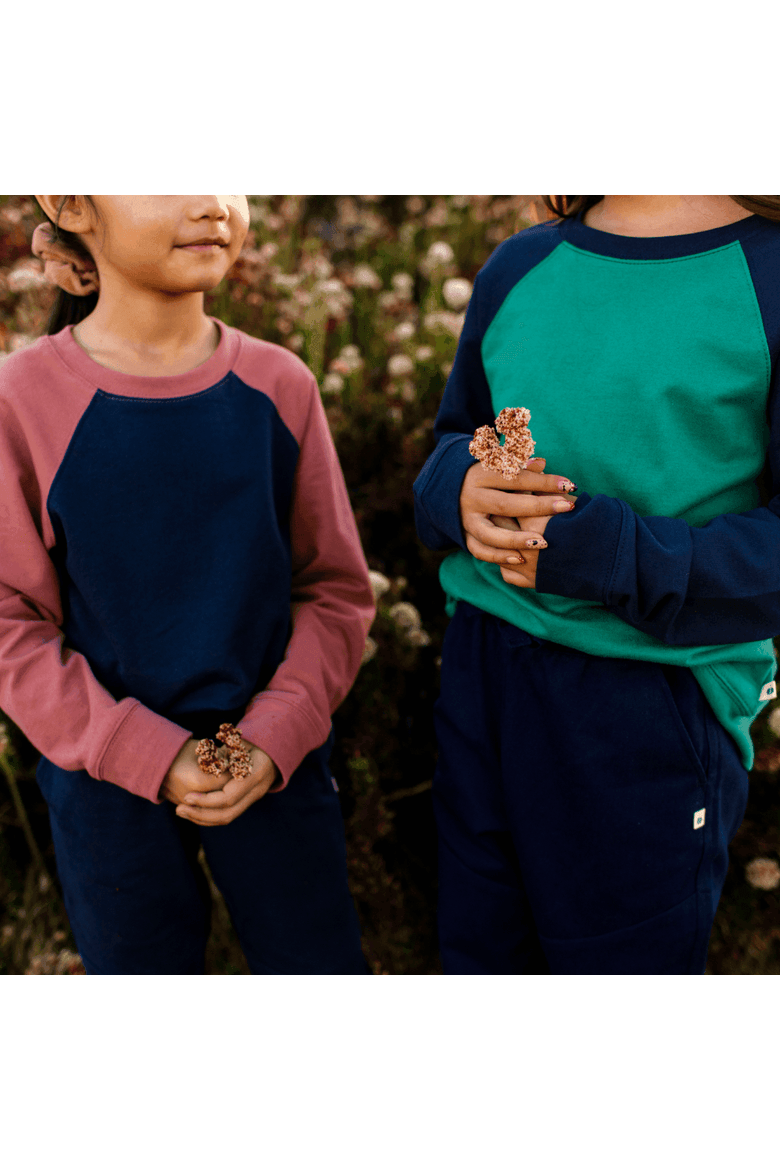 Kids’ Stevie Organic Cotton Raglan Sweatshirt, Alternate, color, Navy & Rose