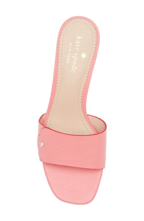 KATE SPADE KATE SPADE NEW YORK GROOVE SLIDE SANDAL 