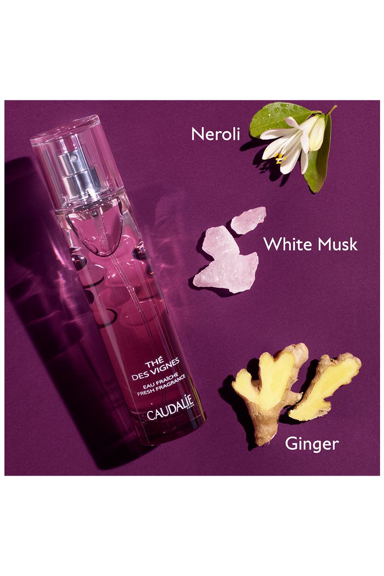 The des Vingne Fragrance, Alternate, color, NO COLOR