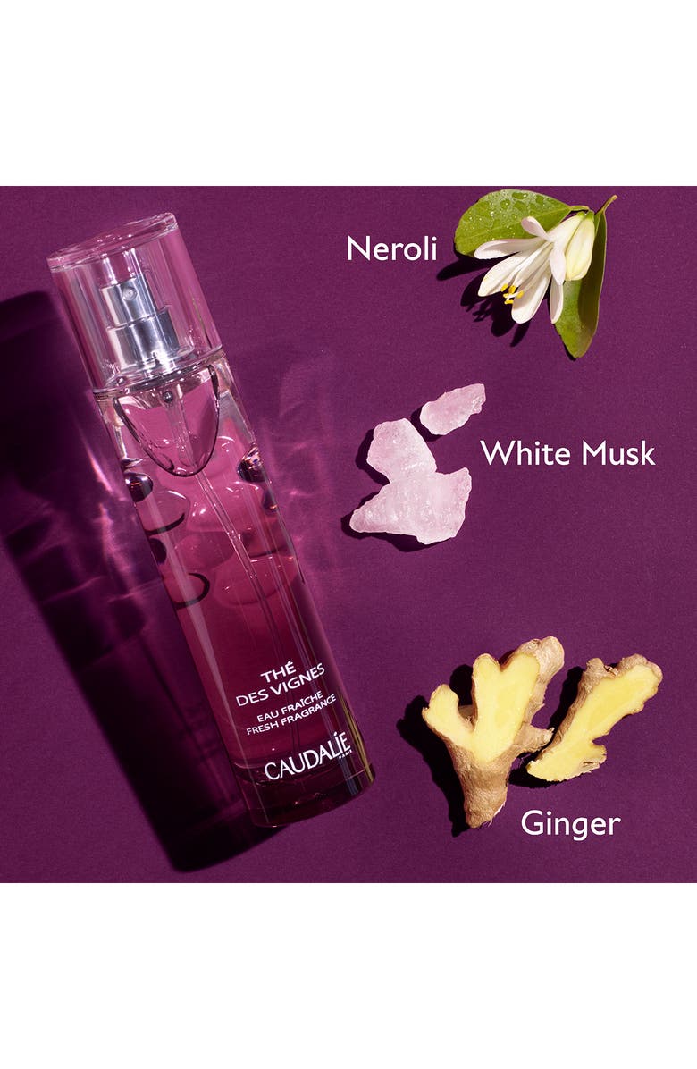 CAUDALÍE The des Vingne Fragrance, Alternate, color, 