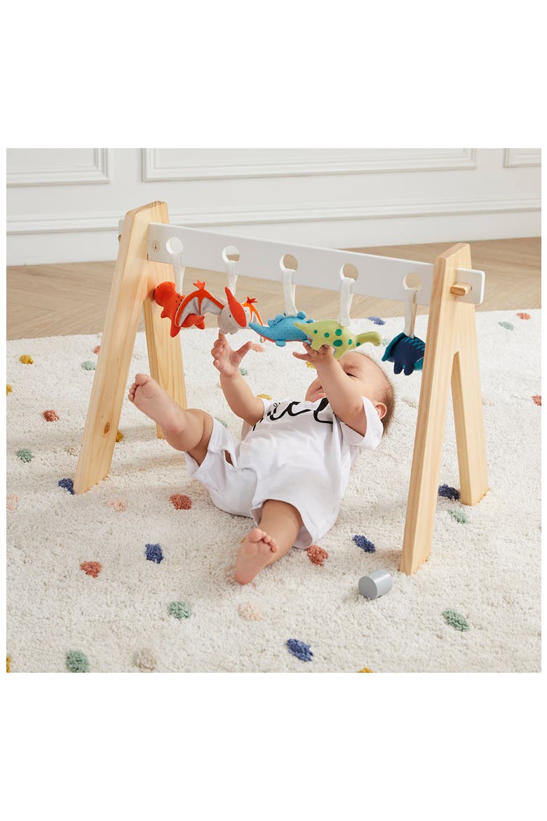 WONDER AND WISE BY ASWEETS Dinosaur Baby Gym, Alternate, color, MULTI