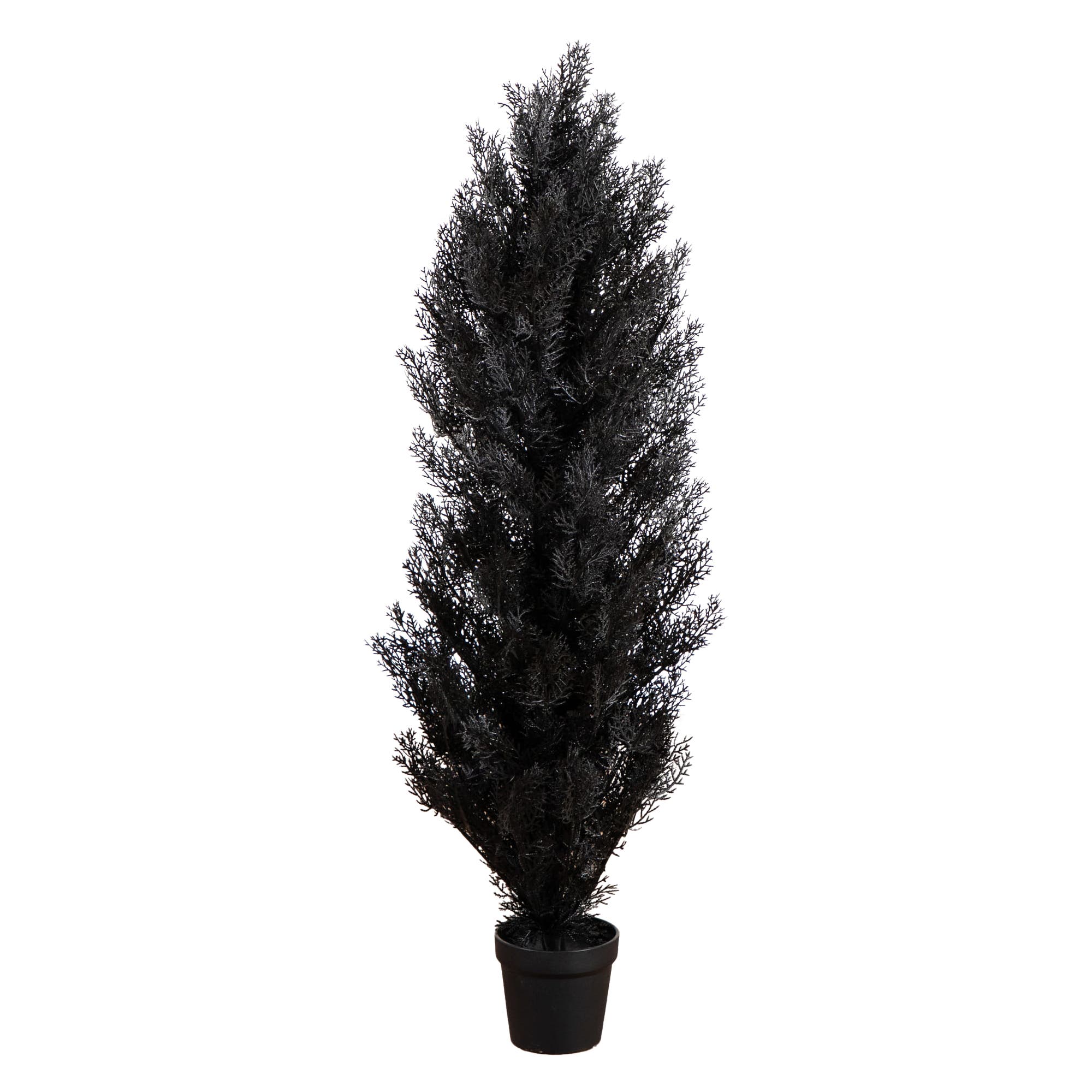 selected Black