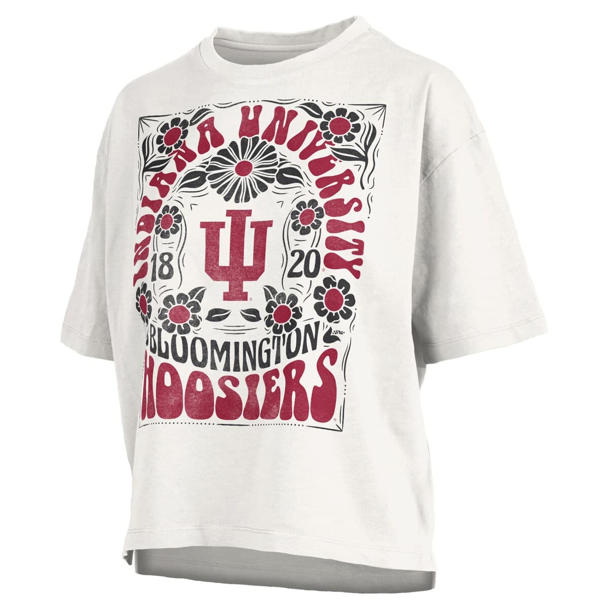 Women's Pressbox White Indiana Hoosiers Harmony Oversized T-Shirt - image 2