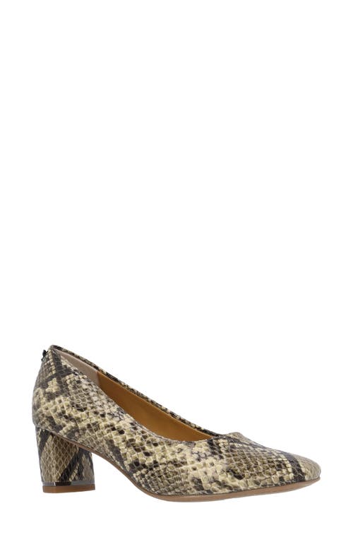 J. Reneé Olivienne Snakeprint Pump In Shadow