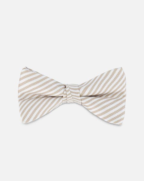 Boy's Bow Tie Light Taupe