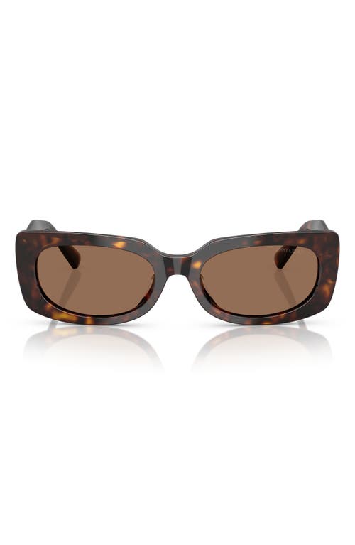 Jimmy Choo 54mm Polarized Pillow Sunglasses In Havana