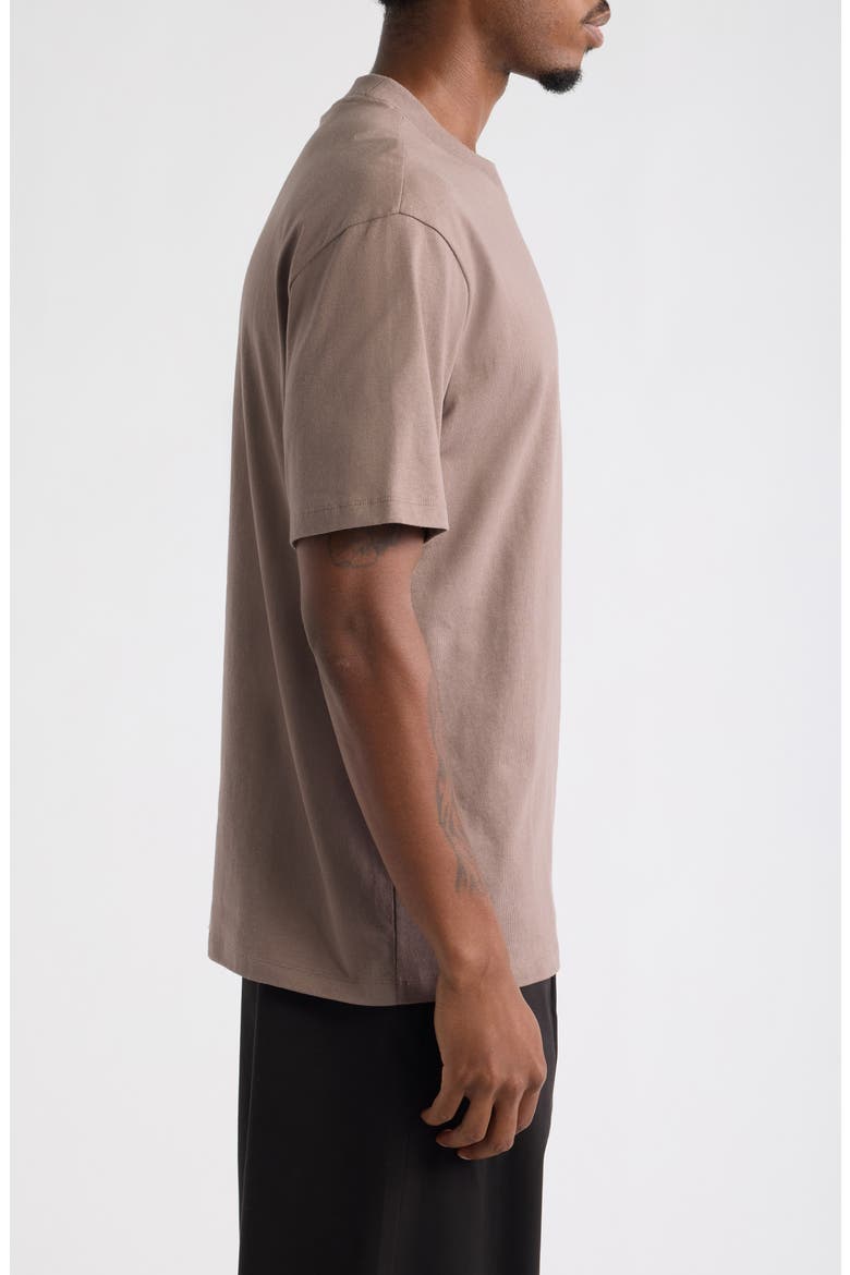 Dapolino Cotton Crewneck T-Shirt, Alternate, color, RUST/ COPPER