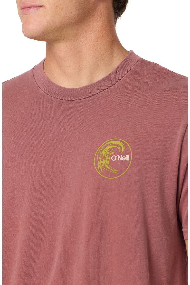 Seaworthy Cotton Graphic T-Shirt, Alternate, color, APPLE BUTTER