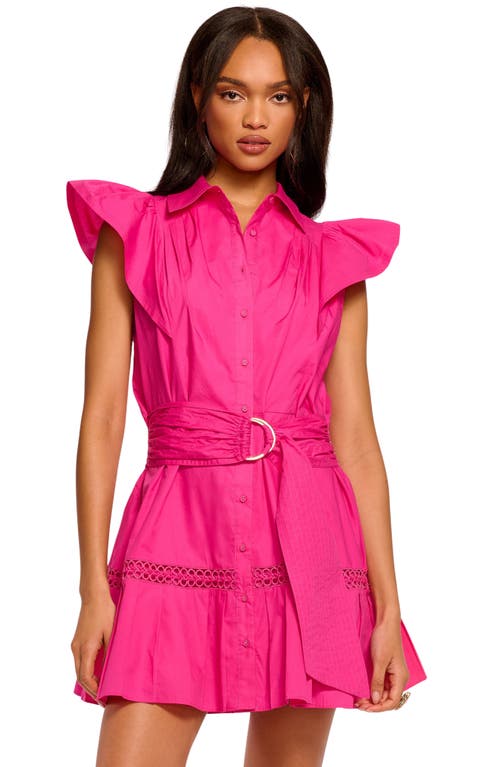 Ramy Brook Pleated Belted Flutter Sleeve Minidress In Pink Petunia