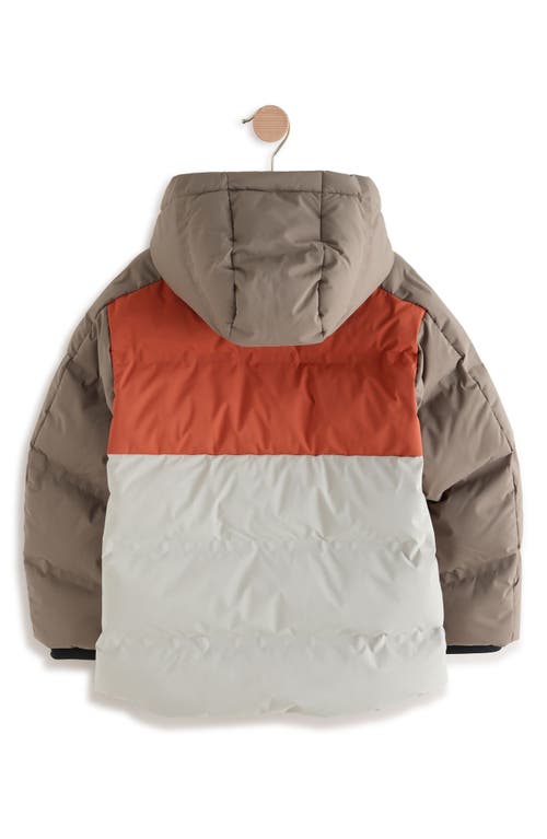 Next Kids' Colorblock Hooded Puffer Jacket In Multi