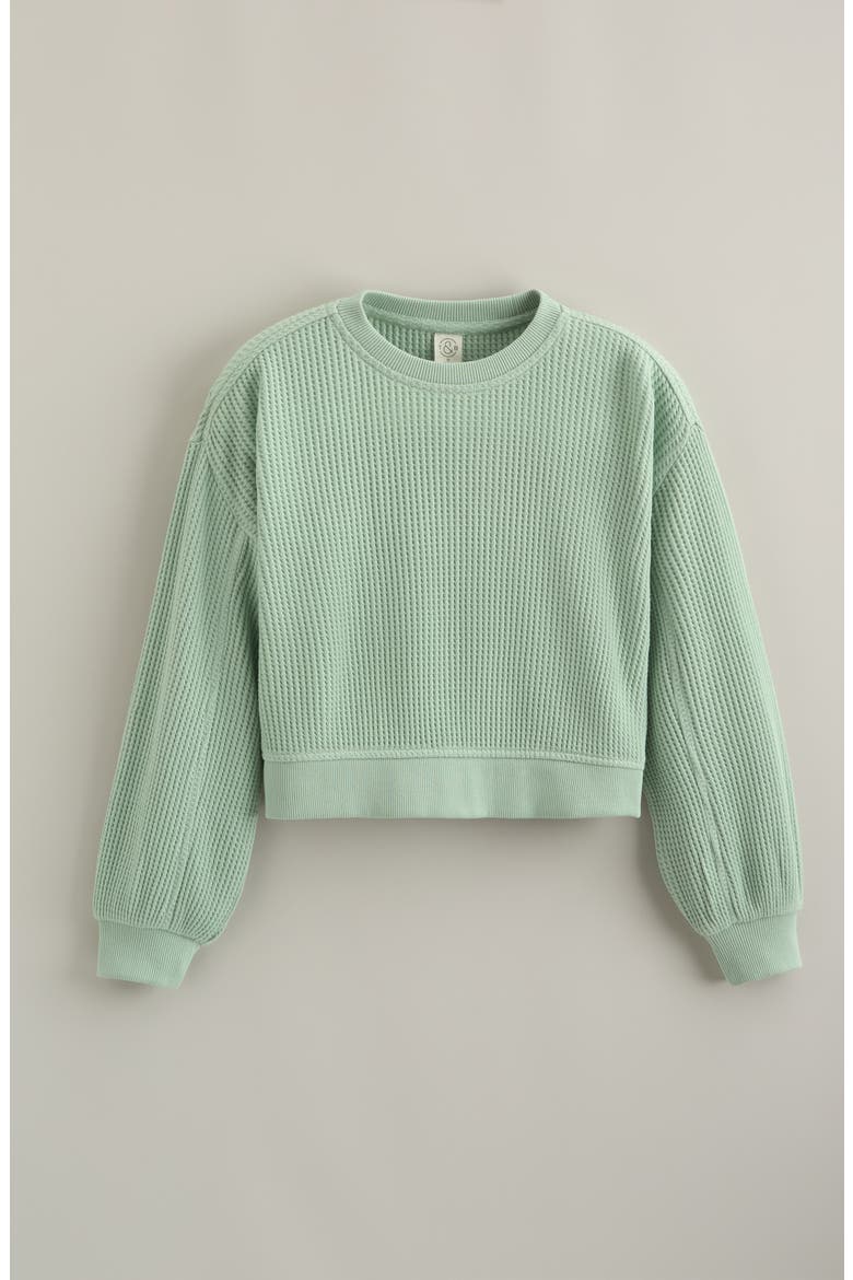 Kids' Cozy Waffle Sweatshirt, Main, color, GREEN GHOST