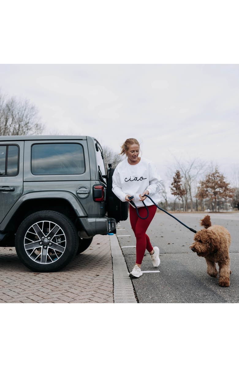 HOOZA Rope Dog Leash 1 Inch x 5 Feet, Alternate, color, Blue