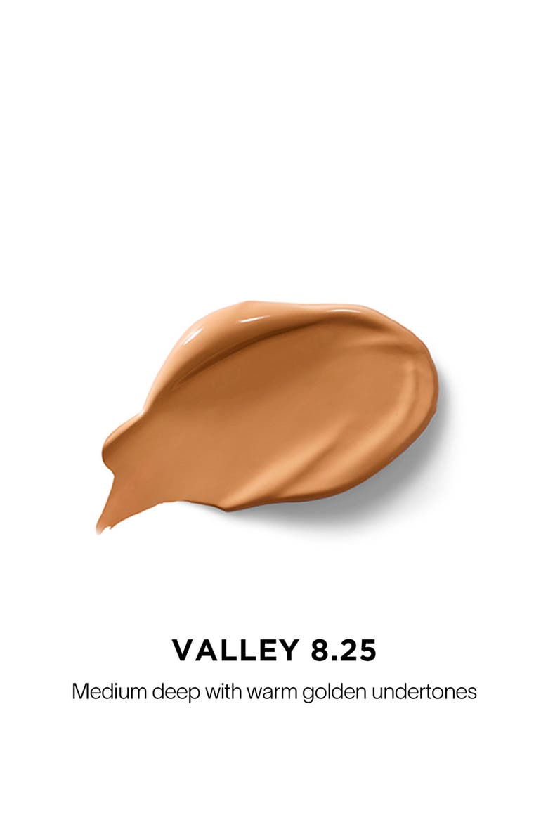 Vanish Airbrush Concealer, Alternate, color, VALLEY 8.25