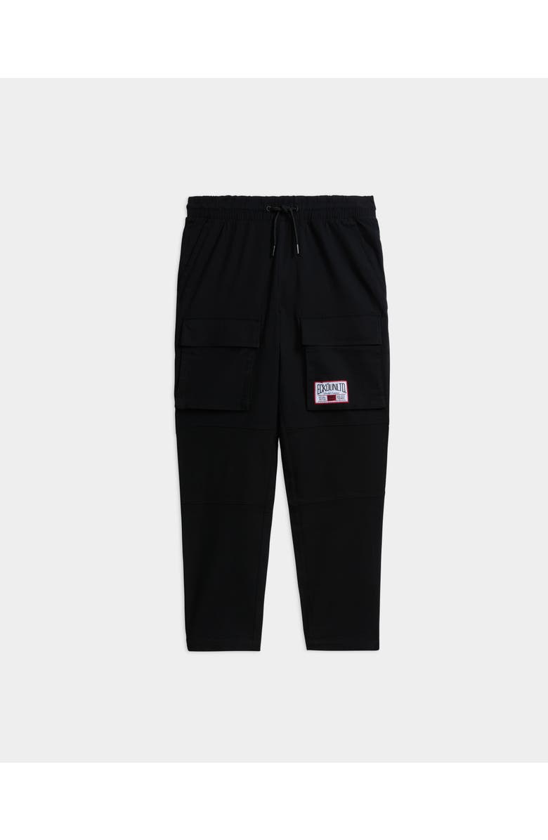 ECKO Two Edged Cargo Pant, Main, color, Black