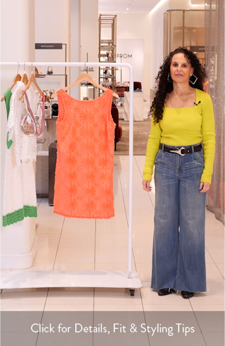 Ginger Terry Sleeveless A-Line Minidress, sales video thumbnail