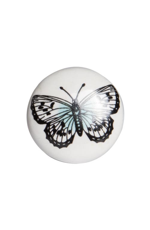 Shop Kinetic 8-pack Knobs In Multi