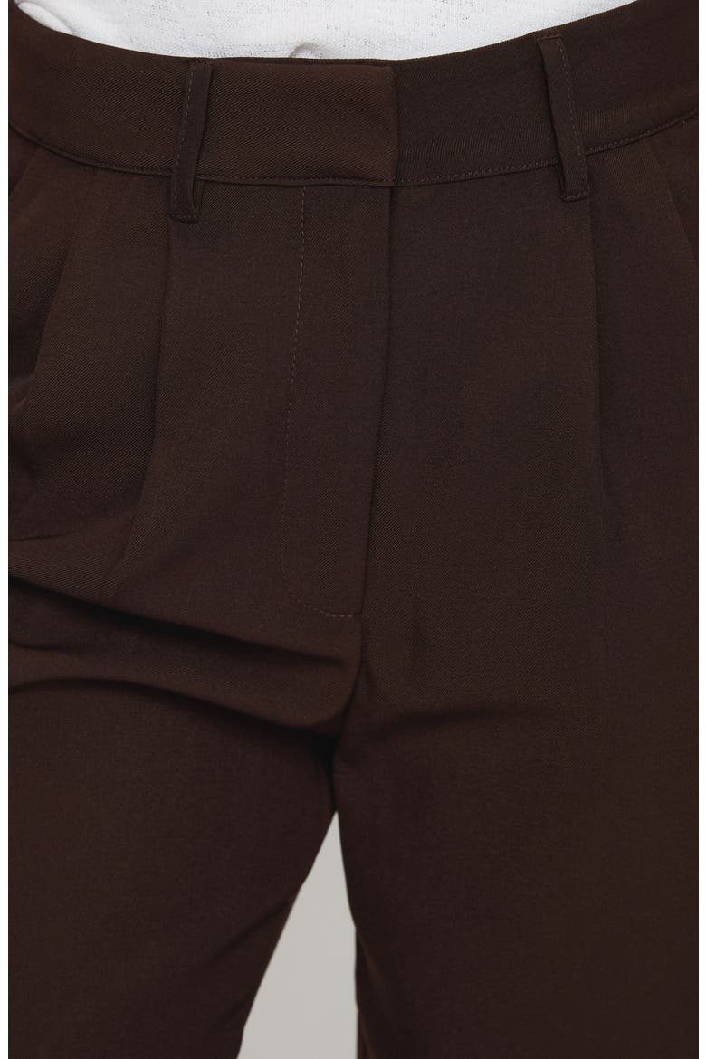 Ambient Pleat Front Wide Leg Pants, Alternate, color, CHOCOLATE