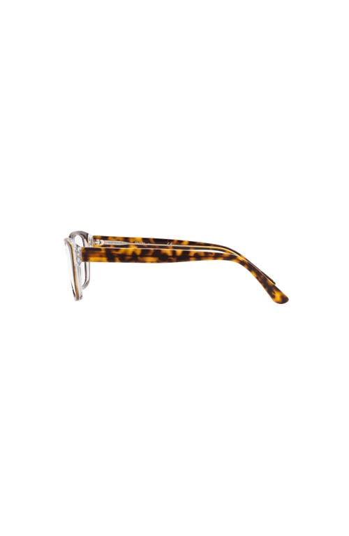 Sferoflex 51mm Butterfly Optical Glasses In Brown