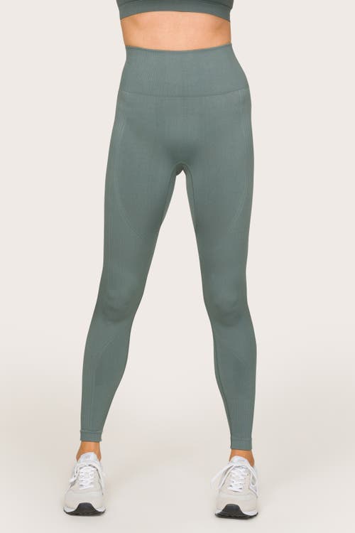 ALALA Barre Seamless Tight in Sage 
