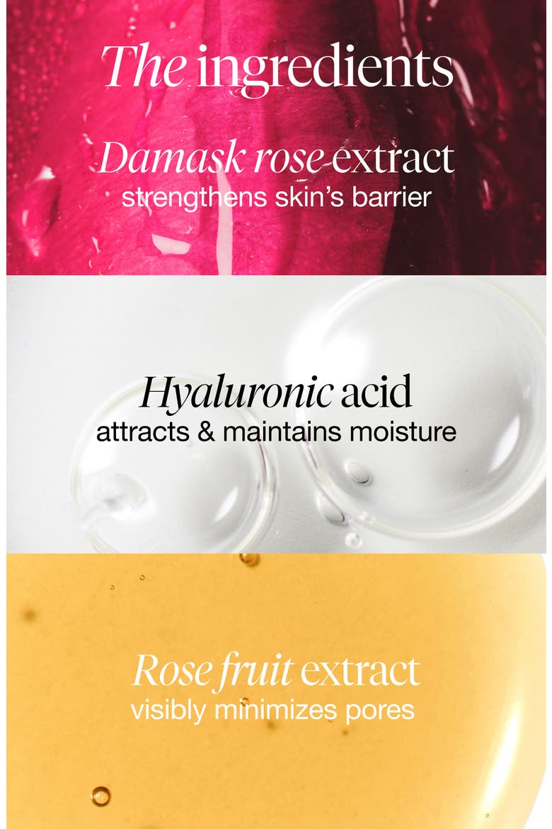 Rose & Hyaluronic Acid Deep Hydration Toner, Alternate, color, NO COLOR