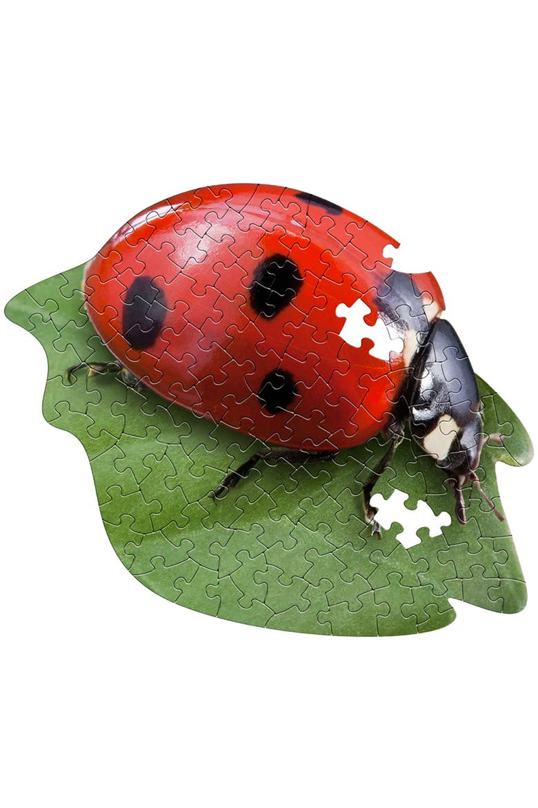 Lil Ladybug 100 Piece Jigsaw Puzzle, Alternate, color, Multicolored