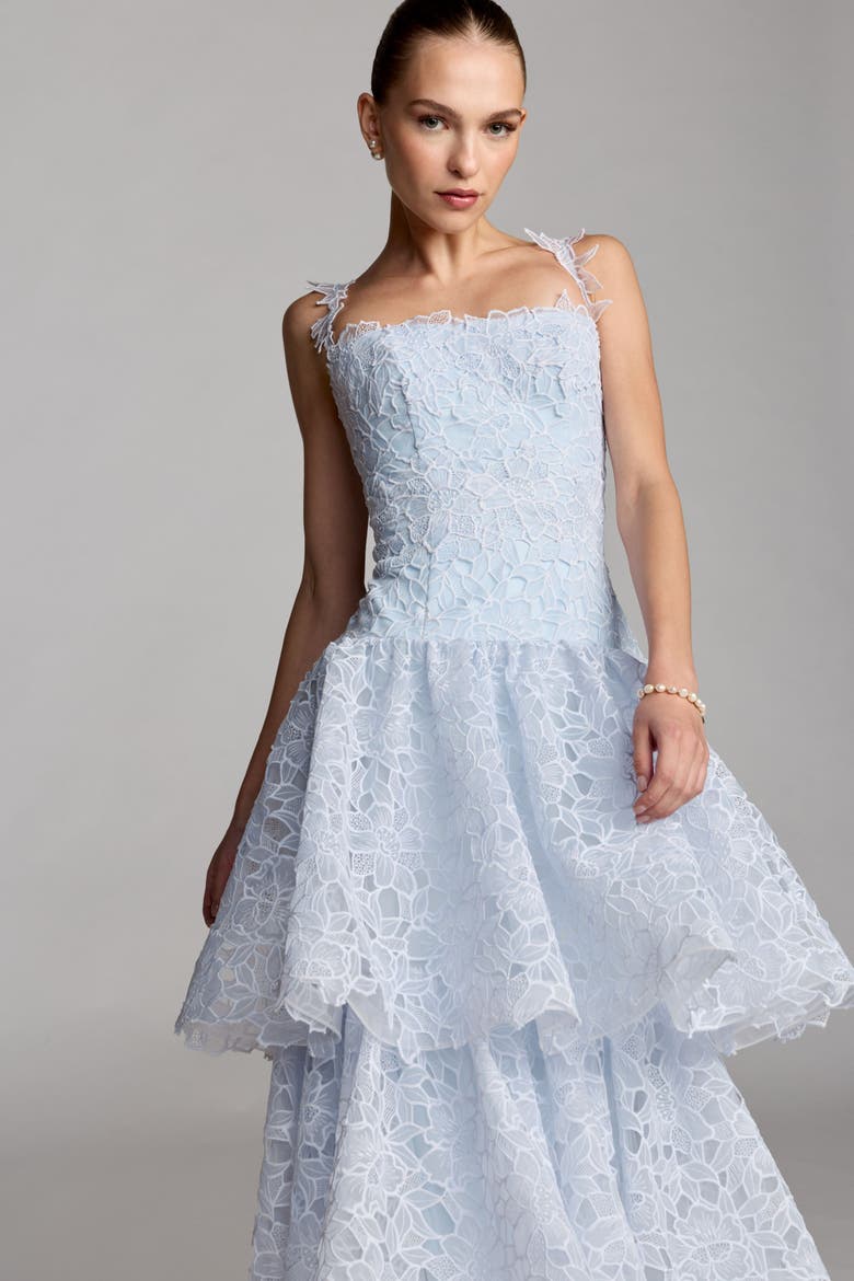 Sleeveless Embroidered Lace Tiered Midi Dress, Alternate, color, Powder Blue