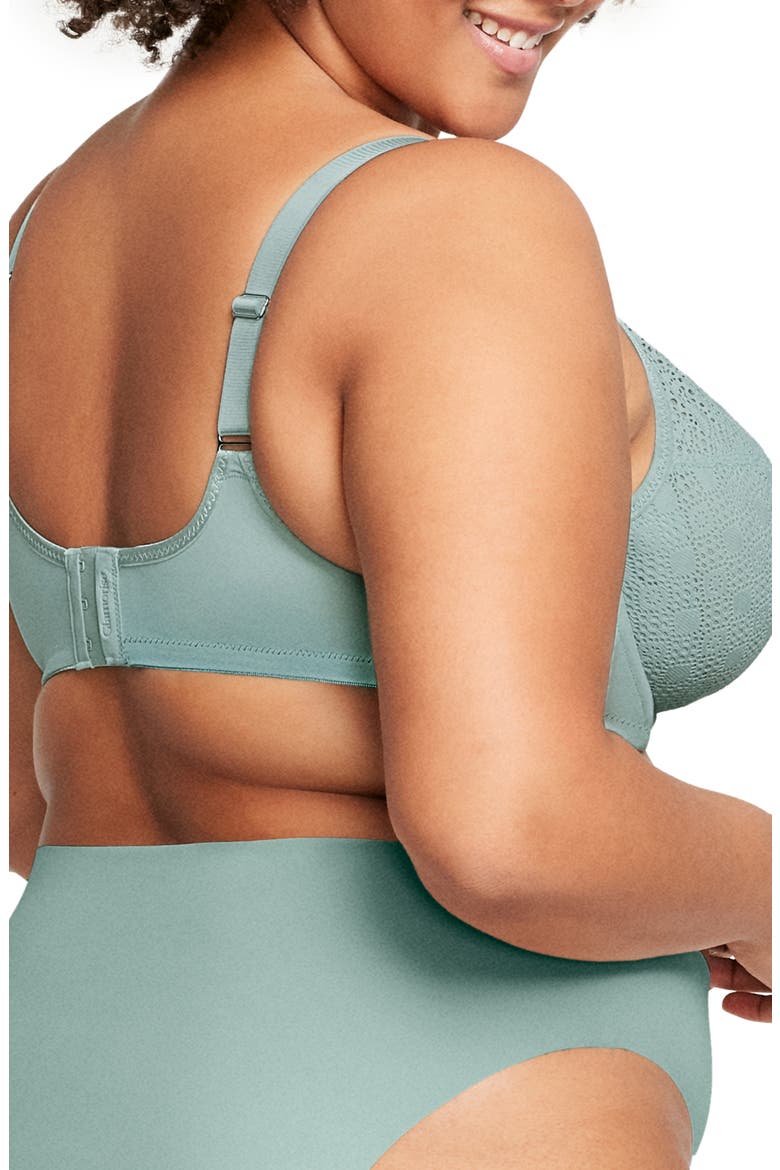 Full Figure Lace Underwire Bra, Alternate, color, JADE