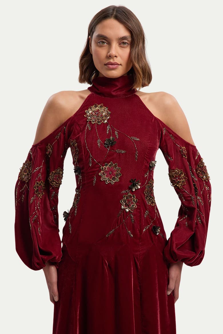 Velvet Embroidered High Neck Maxi Dress, Alternate, color, Rust