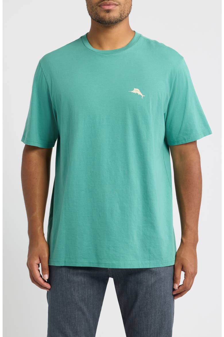 Golden Shores Graphic Tee, Main, color, ARUBA