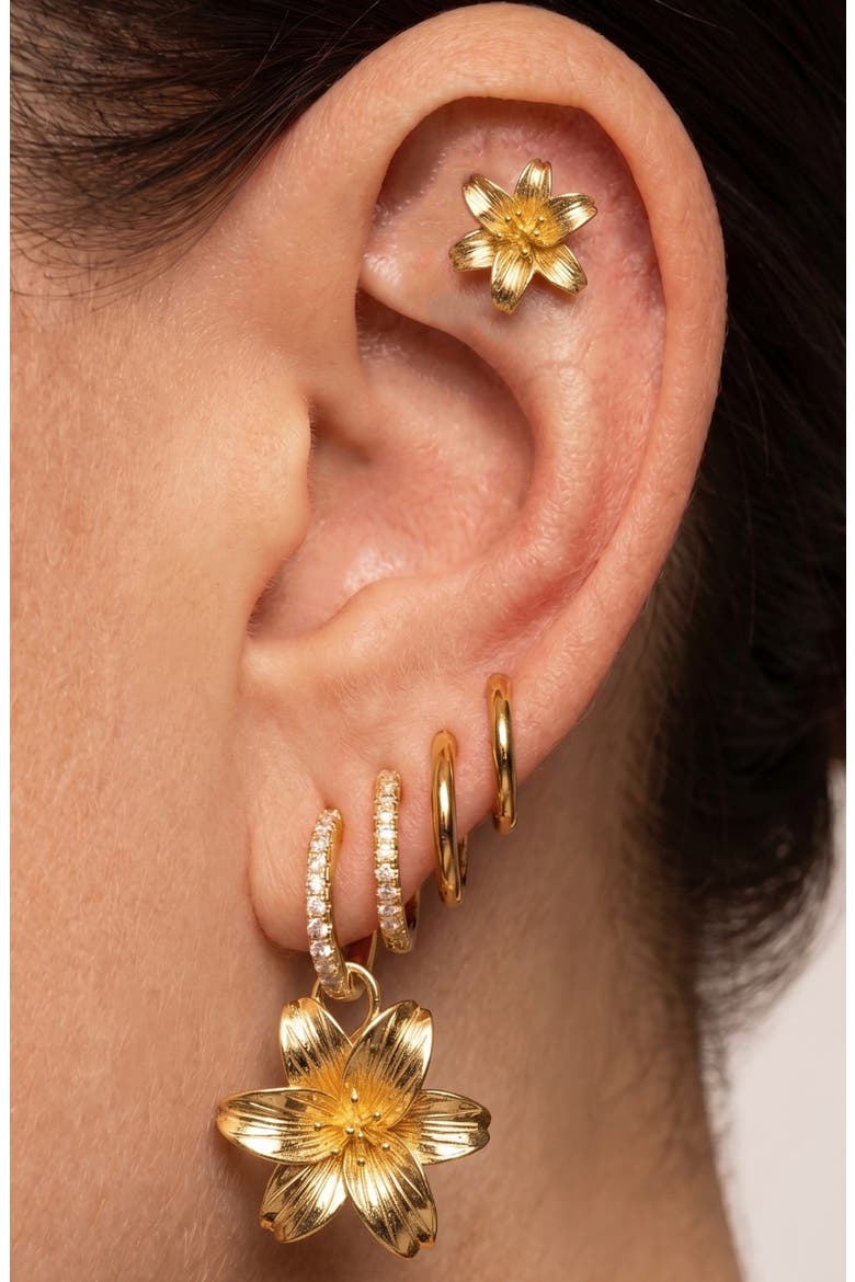 Set of 9 Lily Hoop, Stud & Drop Earrings, Alternate, color, GOLD