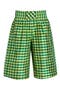 selected Gingham Green Yellow