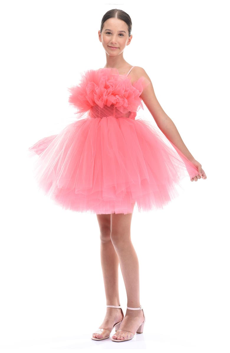 Tulleen Scalleta Dress, Alternate, color, Pink