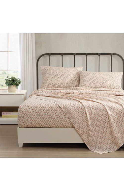 Laura Ashley Sweet Success Cotton Percale Sheet Set In Pink