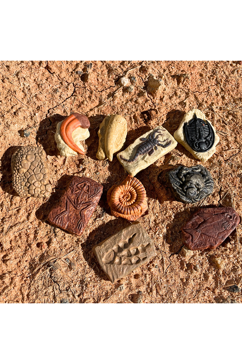 Ancient Fossils Toy, Alternate, color, No Color