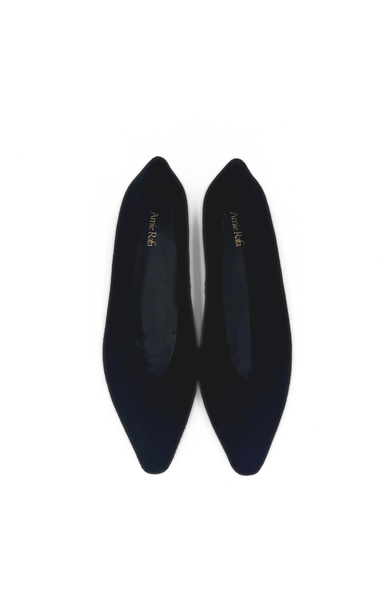 Amie Rafa Riley Suede Ballet Flats, Alternate, color, Black