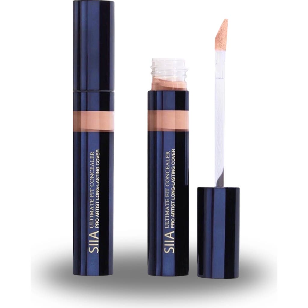 Siia Cosmetics 2-pc. Ultimate Fit Concealer Duo In Brown