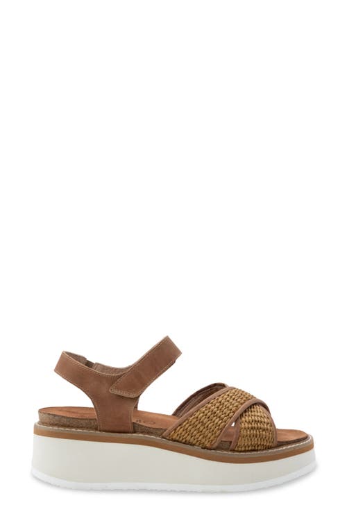 Naot Pavlova Platform Sandal In Latte Brown Leather/gldn Brwn
