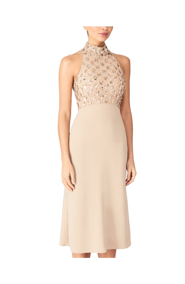 Jenny Packham Aurelia Dress, Alternate, color, Cashmere