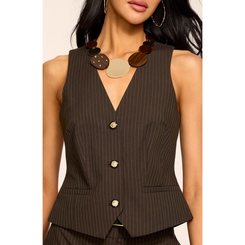 Ramy Brook Tatum Vest in Brown Pinstripe at Nordstrom, Size 2