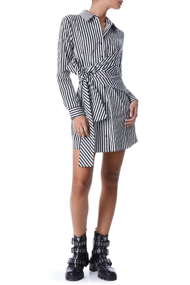 Reina Stripe Long Sleeve Stretch Cotton Shirtdress, Alternate, color, JOY STRIPE