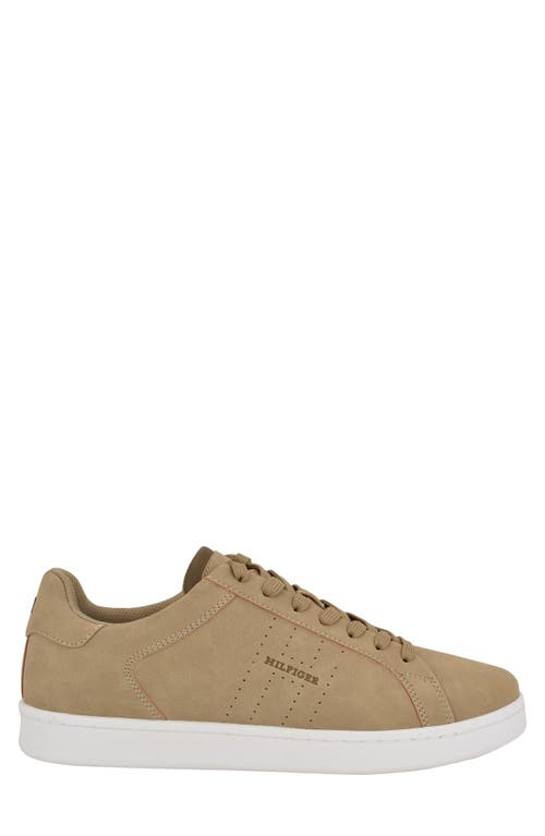 Tommy Hilfiger Jacalyn Sneaker In Neutral