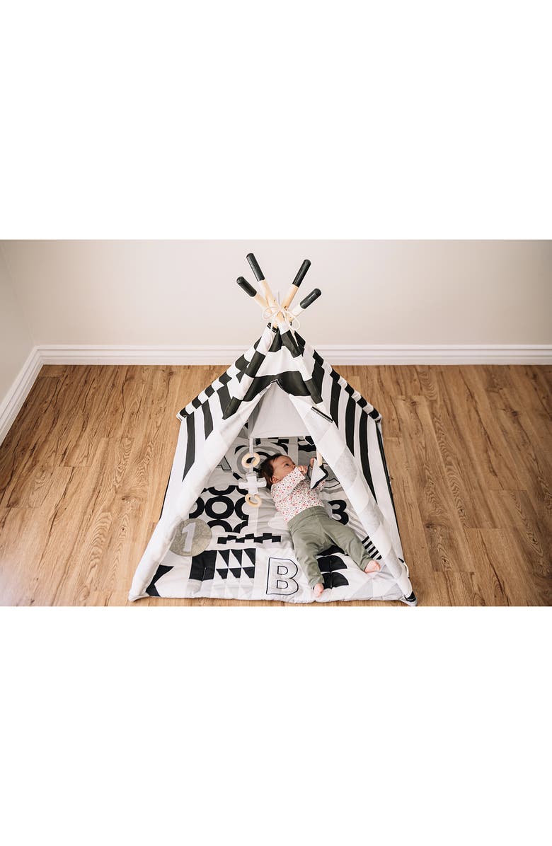 Wonder & Wise by Asweets ABC Baby Activity Tent, Alternate, color, Multi