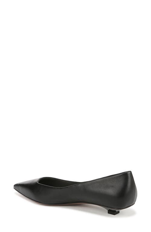 Franco Sarto Prella Pointed Toe Kitten Heel Pump In Black