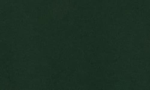 Hanes Ultimate Crewneck Sweatshirt In Green