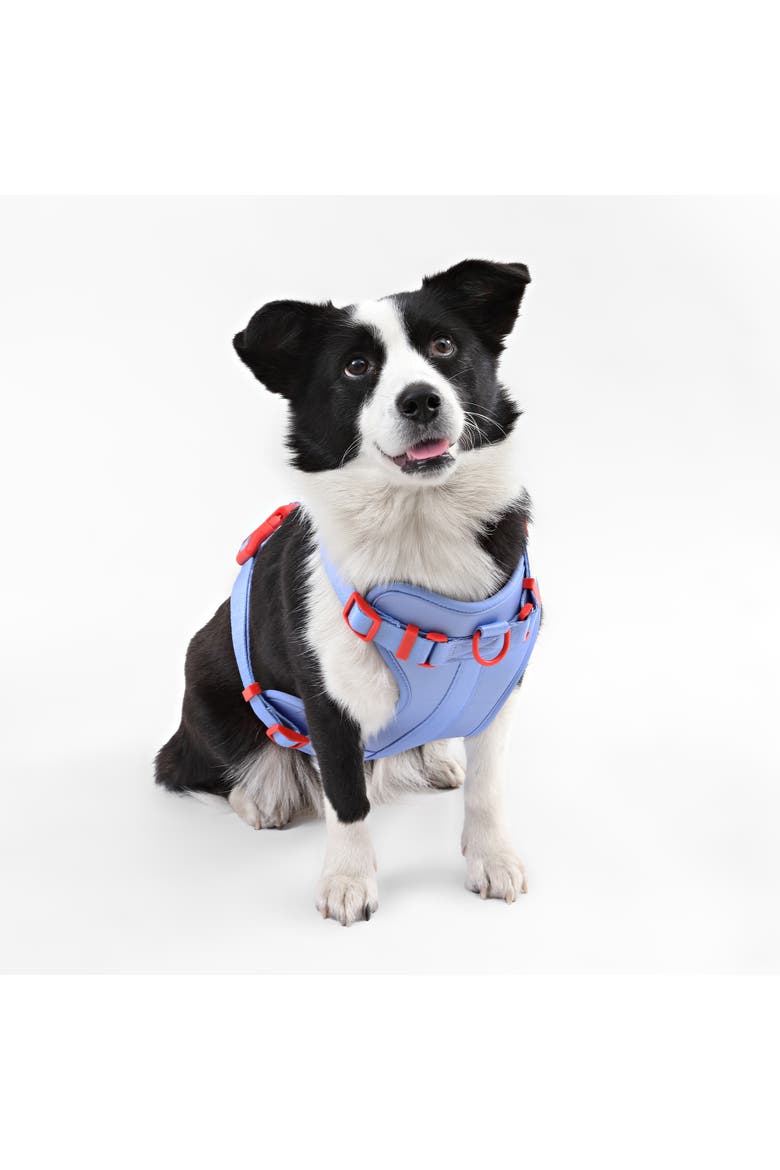 Arlo Adjustable Soft Padded No Pull Pet Harness with 3 Buckles and 3 Leash Clips, Alternate, color, Periwinkle