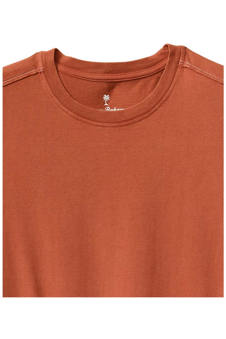 Kauai Keys T-Shirt, Alternate, color, CINNAMON STICK